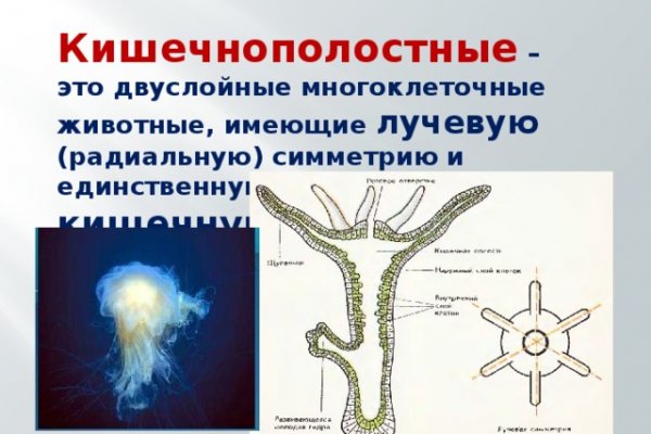 Сайт кракен через тор