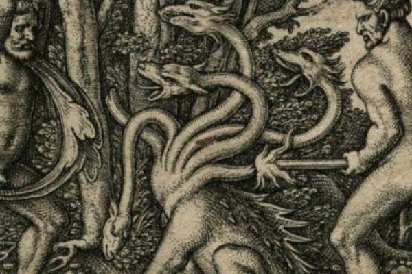 Kraken 24at