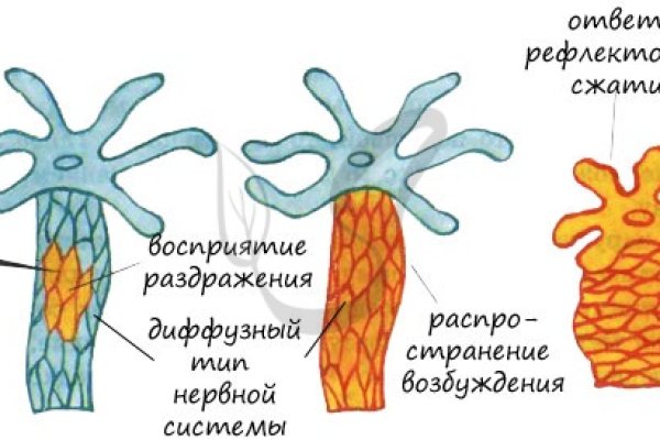 Kraken что это такое