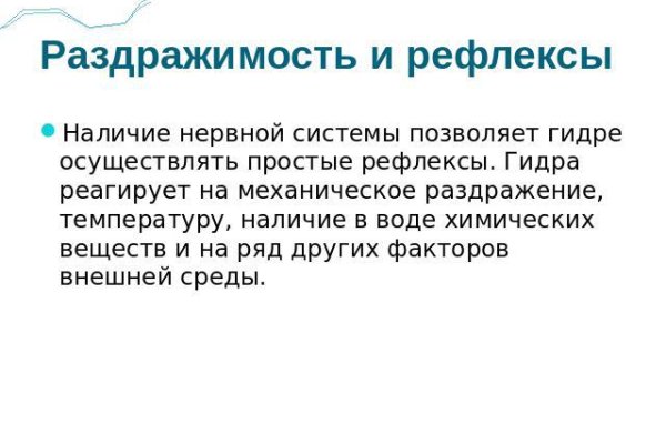 Кракен онион даркнет площадка