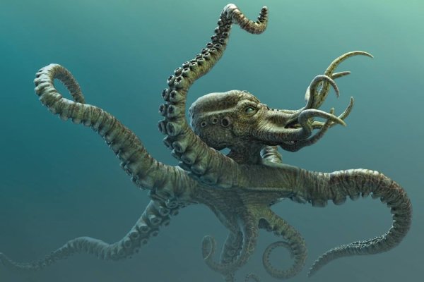 Kraken 19 at сайт