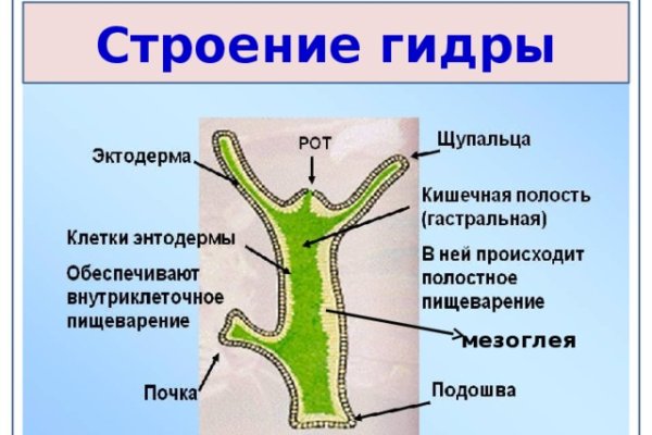 Каталог сайтов даркнет