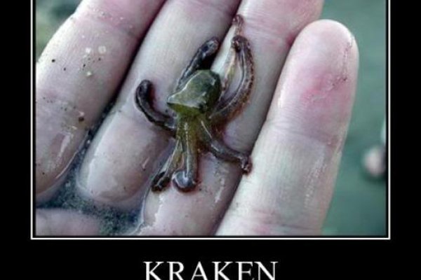 Kraken darknet marketplace