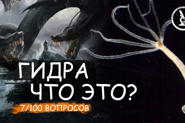 Kraken url