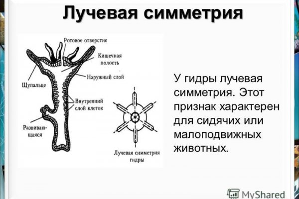 Блэкспрут зеркало кракен