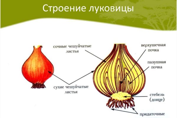 Кракен даркнет слушать